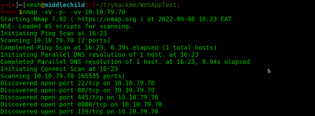 Basic Pentesting TryHackMe N3sh47